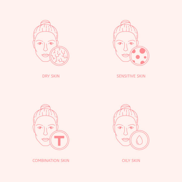 Set of skin types and conditions on female faces. Dry, oily, combination, t-zone, sensitive, dermatology concept. Cosmetology icons. Skincare line vector illustration Set of skin types and conditions on female faces. Dry, oily, combination, sensitive, t-zone dermatology concept. Cosmetology icons. Skincare line vector illustration dry skin stock illustrations