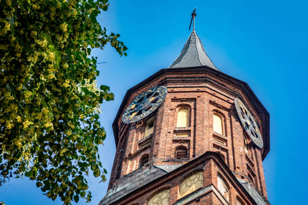 Belfry of the Konigsberg Cathedral on the Kant Island in Kaliningrad
