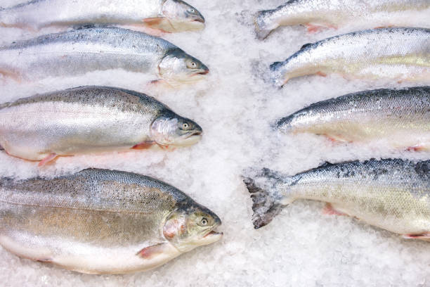 istock Fresh Norwegian salmon on ice in supermarket 1212060913