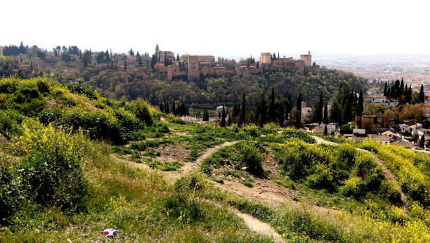 istock The Alhambra of Grenade 1212062518