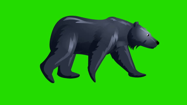 Bear walk cycle animation