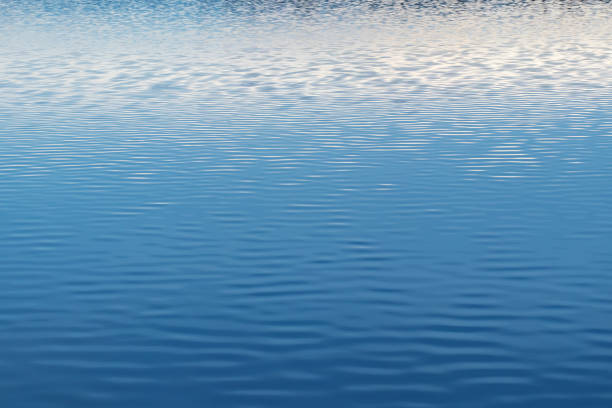 istock Water surface of the lake with light ripples from the wind 1212064626