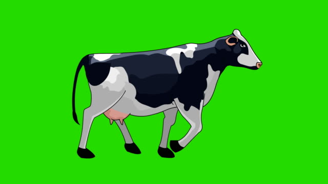 Cow Animation Stock Videos and Royalty-Free Footage - iStock