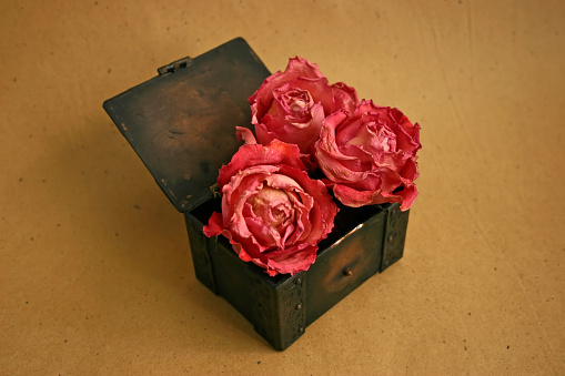 Dried roses in vintage box