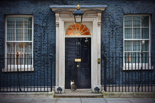 downing street gatto in attesa - whitehall street downing street city of westminster uk foto e immagini stock