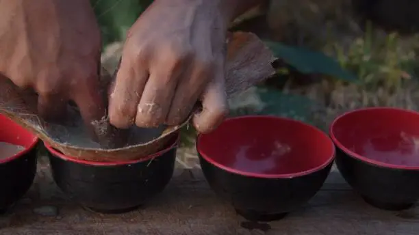 Photo of local young black man preparing kava juice drink at a tropical island of Vanuatu in the south pacific ocean during the afternoon by squeezing it to small cups