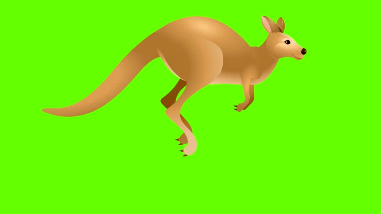 36,576 Cartoon Animals Stock Videos and Royalty-Free Footage - iStock | Cartoon animals winter, Cartoon animals playing, Funny cartoon animals 36,576 Cartoon Animals Stock Videos and Royalty-Free Footage - iStock | Cartoon animals winter, Cartoon animals playing, Funny cartoon animals
