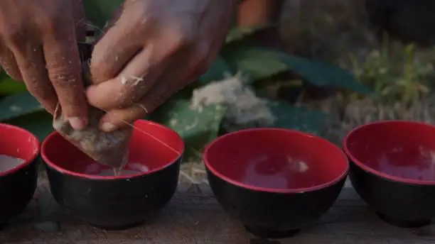 Photo of local young black man preparing kava juice drink at a tropical island of Vanuatu in the south pacific ocean during the afternoon by squeezing it to small cups