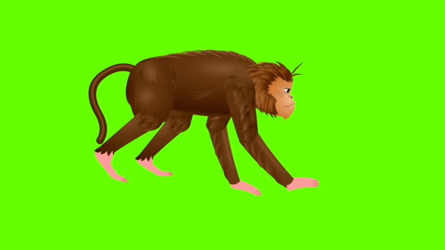 880 Cartoon Monkey Stock Videos and Royalty-Free Footage - iStock |  Thinking cartoon monkey