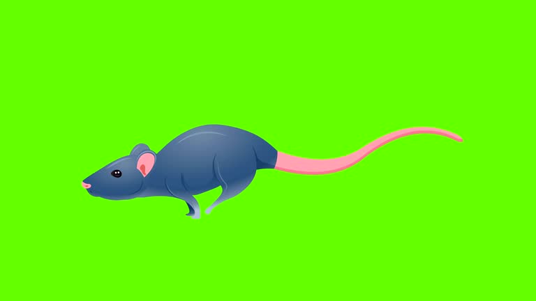 1,193 Rat Tail Stock Videos and Royalty-Free Footage - iStock | Rat tail hair, Rat tail hairstyle, Rat tail haircut 1,193 Rat Tail Stock Videos and Royalty-Free Footage - iStock | Rat tail hair, Rat tail hairstyle, Rat tail haircut