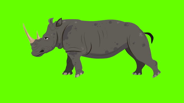 Rhinoceros Run cycle animation