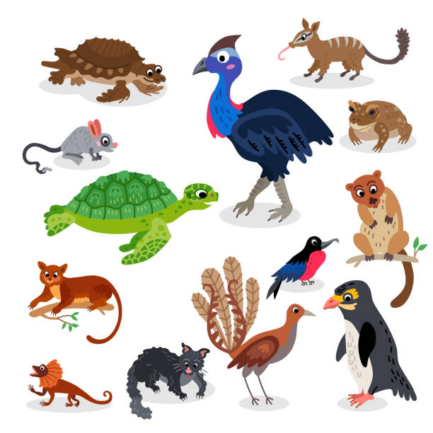 Green Turtle Illustrations, Royalty-Free Vector Graphics & Clip Art - iStock Green Turtle Illustrations, Royalty-Free Vector Graphics & Clip Art - iStock
