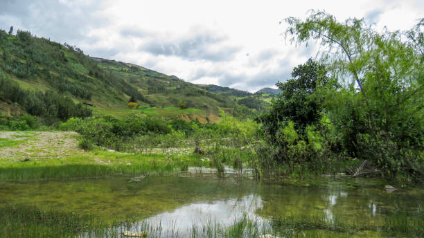 istock Stunning and beautiful green landscape 1212077399