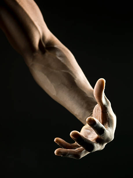 istock African American Man's Muscular Arm 121208307