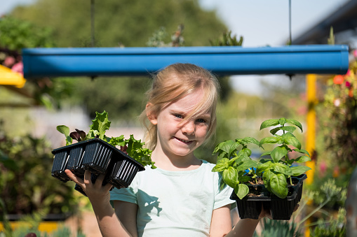 Cute girl with her seedlings that she will plant in her vegetable garden. Girl excited about planting her herbs. Young girl leading a sustainable lifestyle.