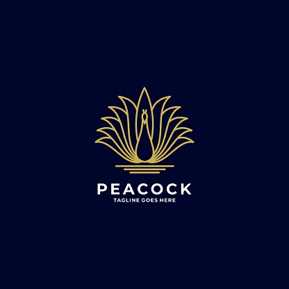 Vector Illustration Peacock Gradient Line Art Style.