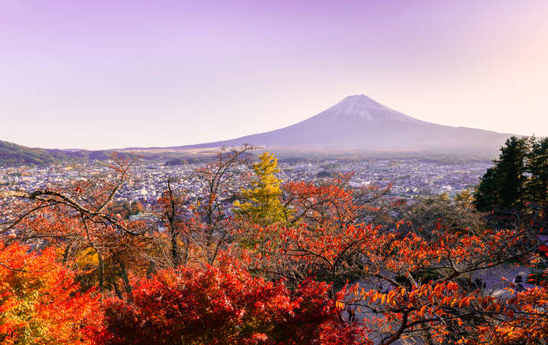 giappone bella vista sulla montagna fuji - volcano lake blue sky autumn foto e immagini stock