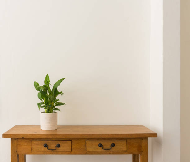 istock Leafy plant in pot on side table against wall 1212096345