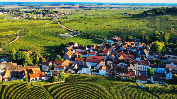 dorf in burgund, frankreich - town village panoramic green stock-fotos und bilder