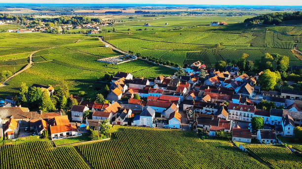 pueblo en borgoña, francia - cote dor fotografías e imágenes de stock