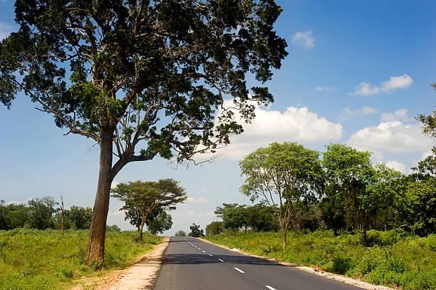 istock Country road in Sri Lankan 121209963