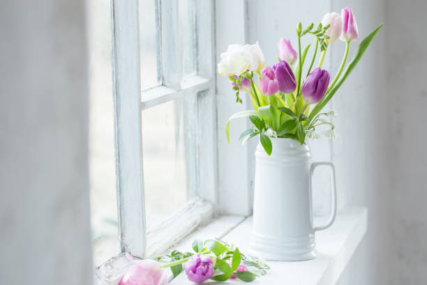 istock beautiful tulips on old white windowsill 1212100180