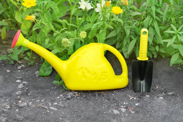 riego amarillo puede 1.5 litros de capacidad y herramientas de jardín sobre un fondo de vegetación y flores en el jardín en un día soleado. herramientas de jardinería al aire libre. foto horizontal - trowel watering can dirt shovel fotografías e imágenes de stock