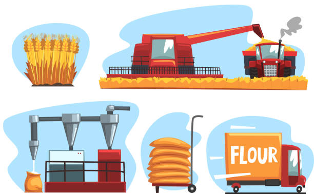 produkcja mąki i chleba zestaw, przemysłowe pszenicy przetwarzania ilustracji wektorowej na białym tle - food processing plant illustrations stock illustrations