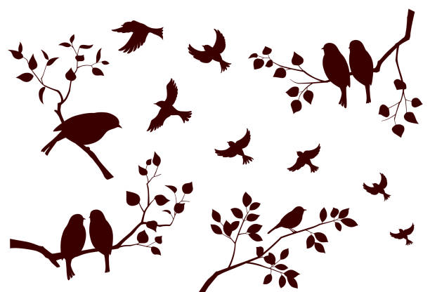 ilustraciones, imágenes clip art, dibujos animados e iconos de stock de conjunto de aves y ramas de árboles - hojas volar eps