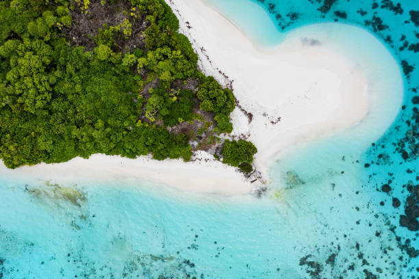 istock Aerial view of tropical island 1212107410