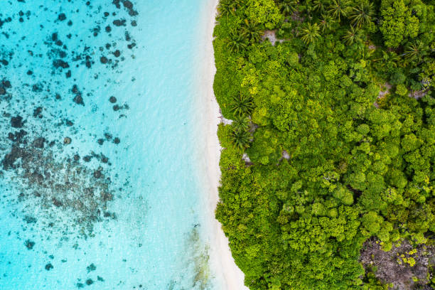 istock Aerial view of tropical island 1212107413