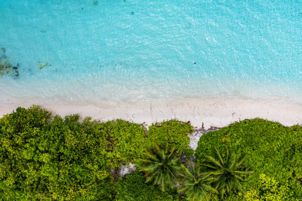 istock Aerial view of tropical island 1212107419