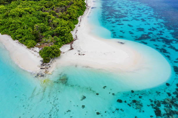 istock Aerial view of tropical island 1212107465