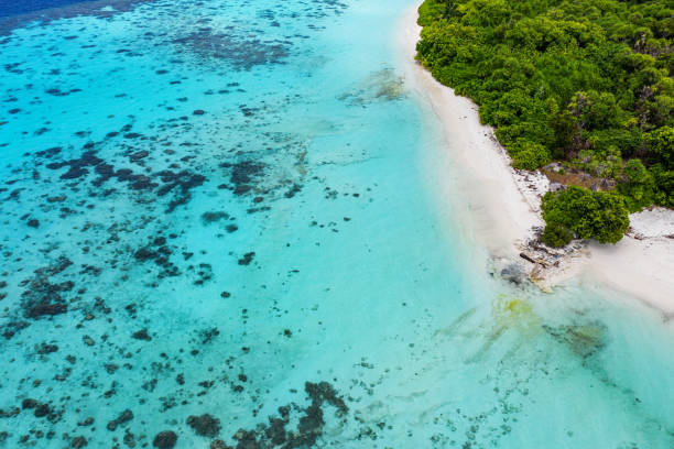 istock Aerial view of tropical island 1212107467