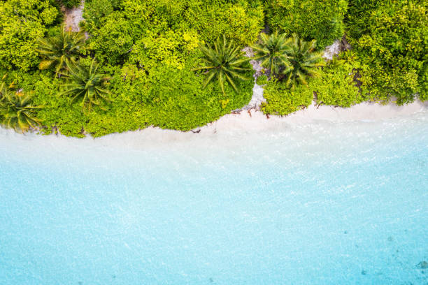 istock Aerial view of tropical island 1212107468