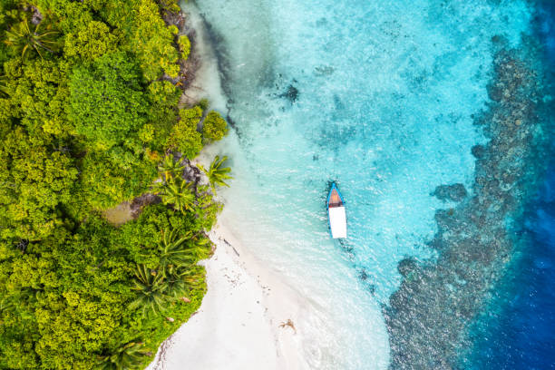 istock Aerial view of tropical island 1212107511