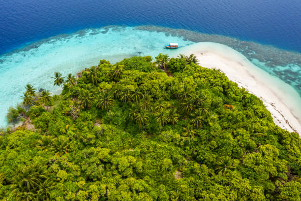 istock Elevated view of tropical island 1212107611
