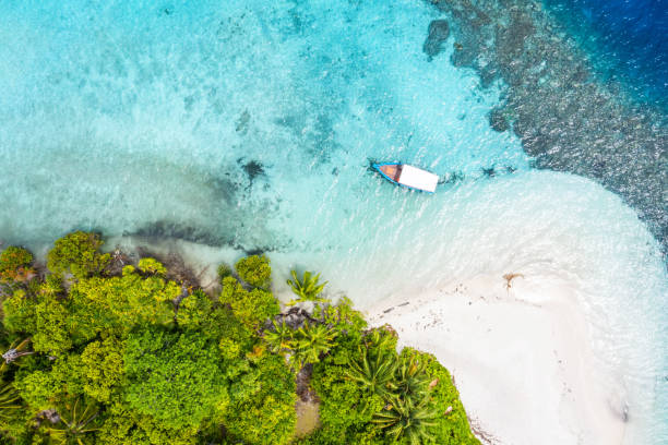 istock Aerial view of tropical island 1212107619