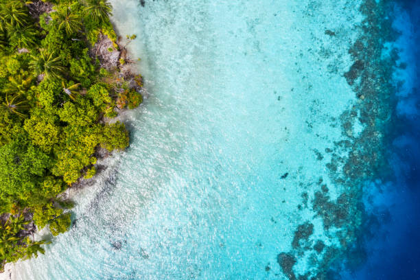 istock Aerial view of tropical island 1212107620