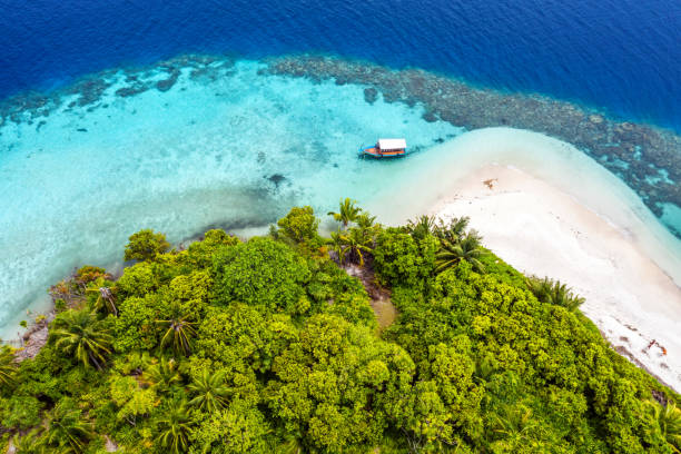 istock Elevated view of tropical island 1212107676