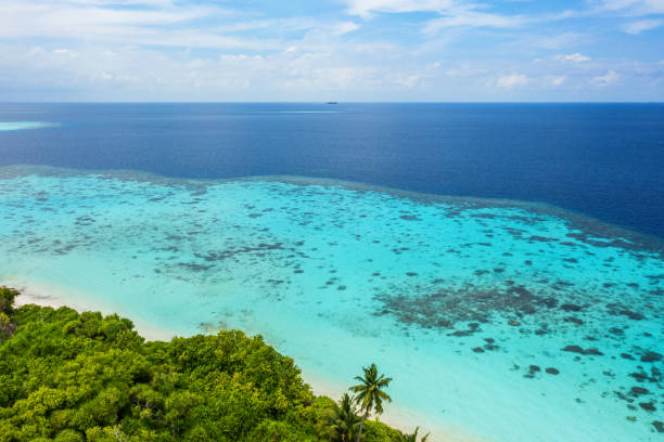 istock Elevated view of tropical beach 1212107677