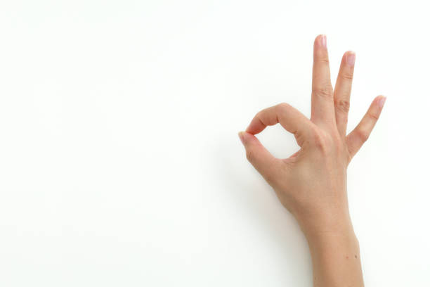 istock Gesturing female's hands on white background 1212107878