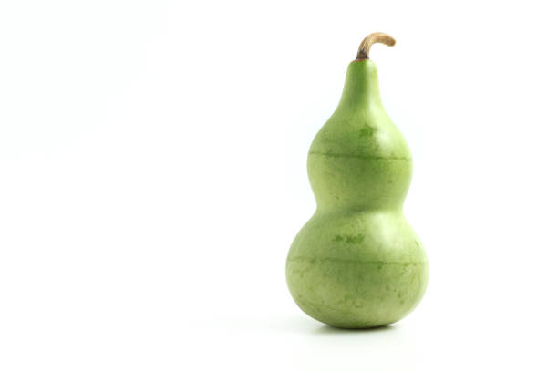 istock Calabash, Bottle Gourd fruit isolated on white background 1212107986