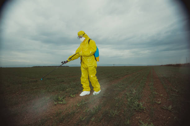 istock Worker spraying toxic pesticides 1212108757