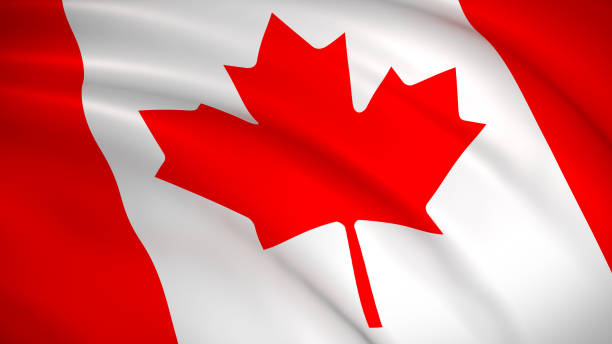 The national flag of Canada (Canadian flag)
