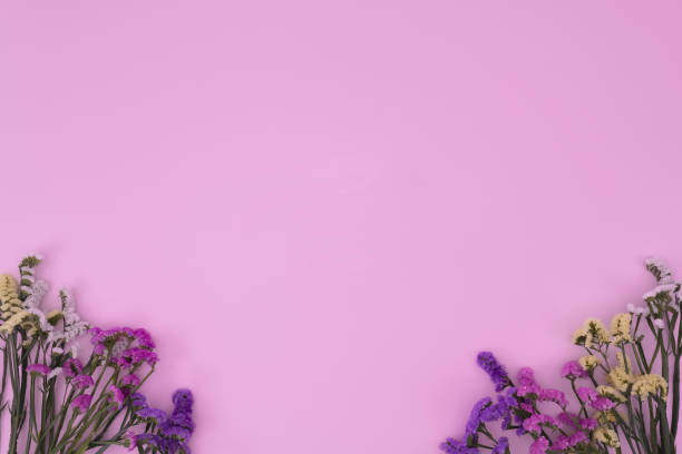 istock Flowers of assorted colors with an empty pink background 1212114522