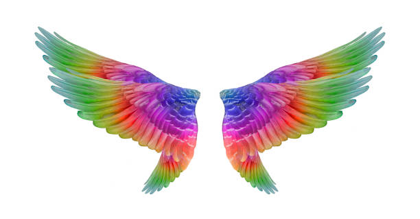 istock Colorful bird winds set isolated on white background 1212118907