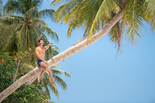 Handsome man climbing up a palm tree. Stunning beautiful tropical palms. Nikon D850. Converted from RAW. Lots of room for copy space against the clear blue sky.