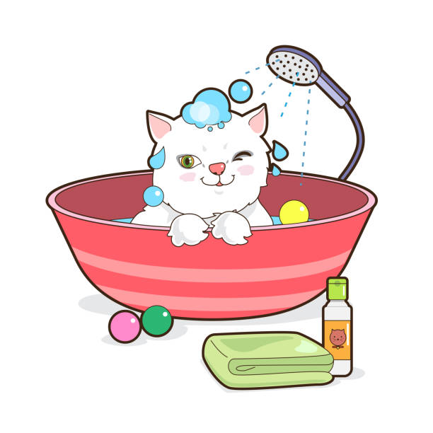 359 Cartoon Of Wet Cat Illustrations & Clip Art - iStock 359 Cartoon Of Wet Cat Illustrations & Clip Art - iStock