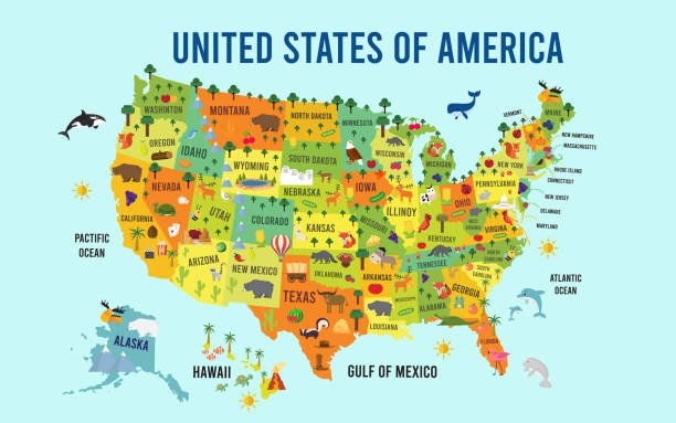 ilustrações de stock, clip art, desenhos animados e ícones de vector illustration united states of america flat design - unites states of america